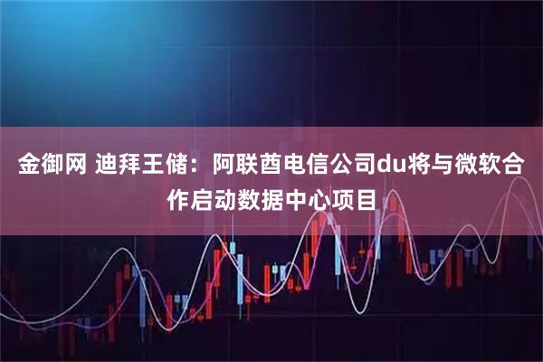金御网 迪拜王储：阿联酋电信公司du将与微软合作启动数据中心项目